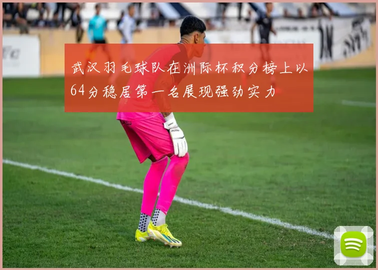 武汉羽毛球队在洲际杯积分榜上以64分稳居第一名展现强劲实力