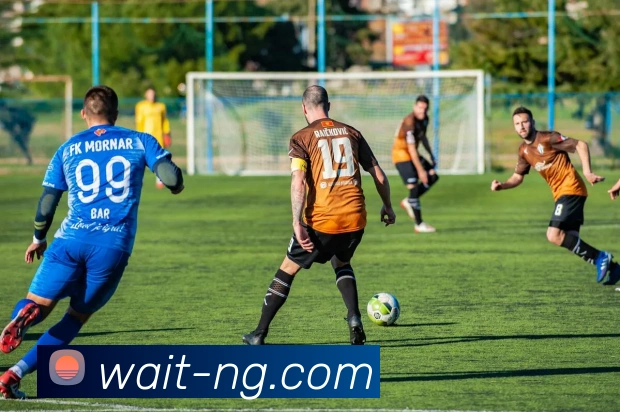 NG体育APP 封面图